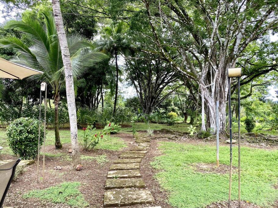 Laguna Eco Village #211 Pool Tenis Bbq Quepos Exterior foto
